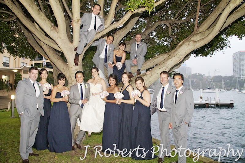 Bridal party climbing a tree at Blues Point Sydney - wedding photography sydney